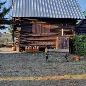 LA VENADITA - Rincón de Luna