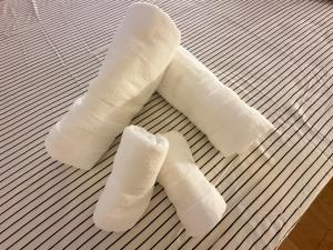 Appartements Jade Apart Bussy Centre Disney 10min : photos des chambres