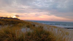 Fewo Muschel incl Kurkarte Parkplatz und strandnah