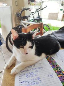 Studio + charmoso da Enseada