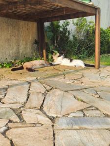 Studio + charmoso da Enseada