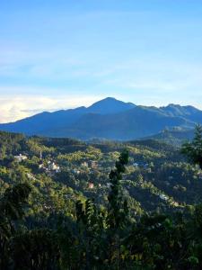 Guest Inn Avendra