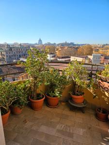 ST. PETERS ROOMS SUITE