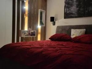 Alexandra room - 蒂米苏尔德约斯