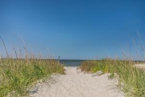 NEW LISTING! Two Bedrooms in A Building with Marsh and Ocean Views