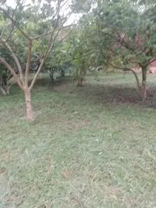 Casa na Praia do Ervino - Marechal Luz