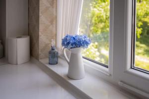 Pretty House Apartment