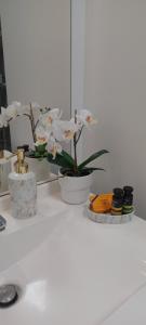 Luminary Night Suite