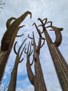 Fazenda Poço das Pedras