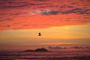 PÉ na Areia com Jacuzzi e Vista Incrível Para MAR!