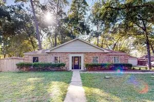 Vlad's Castle - Klein