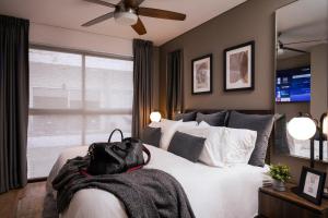 Condesa Luxury Apartments