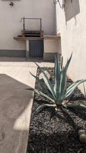 Loft ITSON: Comodidad + Asador