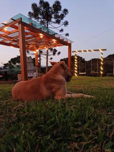 Recanto do Ipê cabana 01