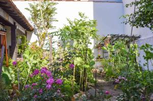 Noemia Brazil Cama e Café