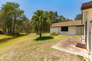 Little Goldens at Fays