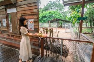 Horizon Village & Resort