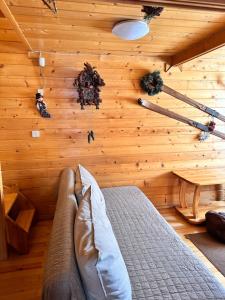 Alpine ski chalet Borovets with sauna