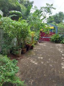 Paradise RK Inn Residency