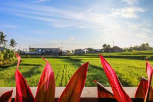 Villa la Vida Loca - Happy Sunny in Ubud, Bali