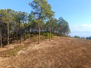 Ravissant T2 vue mer et massif - Les Clés de L´Estérel - 3hvězdičkové hotely ve městě Théoule-sur-Mer