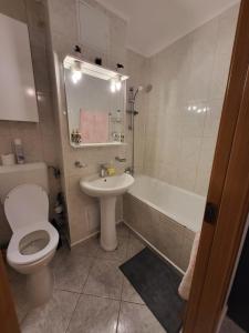 Large and comfortable studio Mall Vitan area