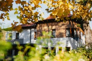 Villa Bellini Borszék