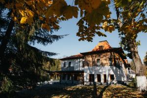 Villa Bellini Borszék