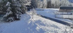 Idyllic Retreat Next to an Elven Forest