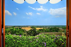 camera panoramica