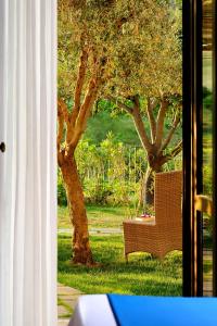 Superior Room with Balcony or Terrace
