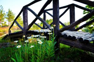 Archontariki Guesthouse