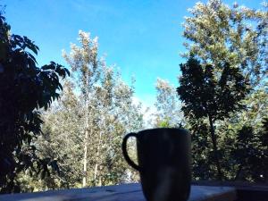 The Oclock Farmstay Khaokor