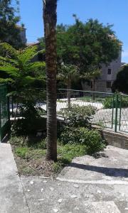 Apartman Rojnica