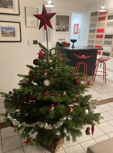 Appartements Au nom de la rose, beau 3 pieces en centre-ville : photos des chambres
