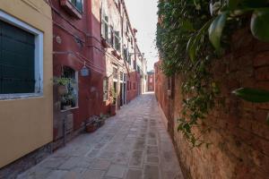 Ca Ferrando, brand new apartment, experienced host!