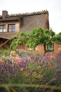 Lüttdeel - Stangheck