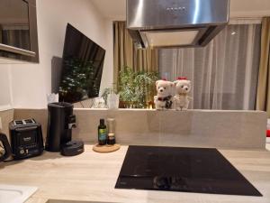 By nuit-parisienne : Superbe appartement avec SPA et terrasse privée