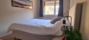 Genieten van Oostende aan zee