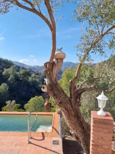 Susurros de Montaña