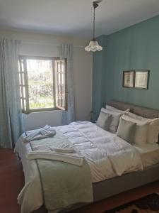 Snow Chalets Parnassos Arachovas Nest