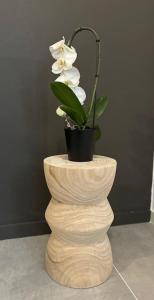 The Savonarola Apartment