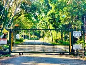 Ambience Inn - Katoen