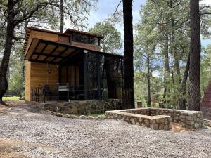 obrázek - Hermosa Cabaña Inmersa en el Bosque de Tapalpa