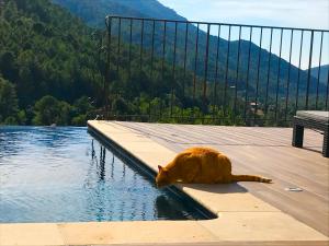 Maisons de vacances Gite A Funtana Montestremo, Balagne, Haute Corse : photos des chambres