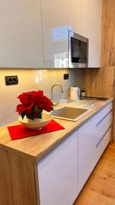 VILA LUNA-Apartman 25