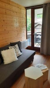 Appartement cosy au pied des pistes