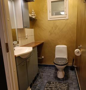 Fairytales of the Milkyway