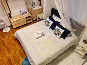 สวนเบอร์รีแคมป์ทนายจุฬา Berry Camp Korat