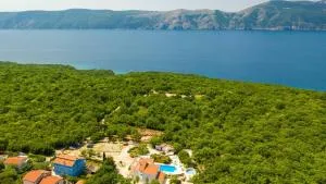 Apartments with a swimming pool Brzac, Krk - 21715 - Beli